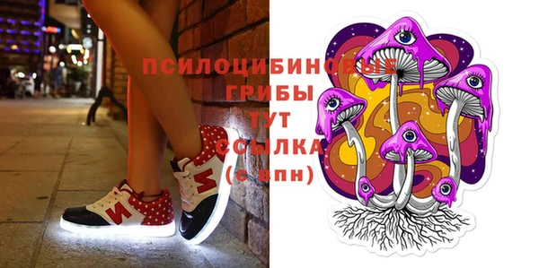 мдпв Абинск