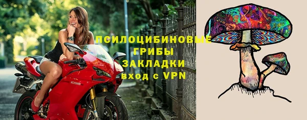 ПСИЛОЦИБИНОВЫЕ ГРИБЫ Алексин