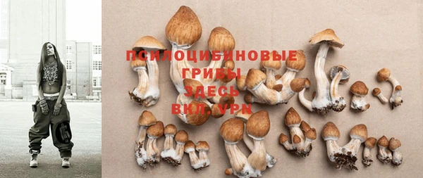 герыч Абдулино