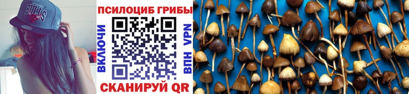 мега рабочий сайт  Берёзовка  Галлюциногенные грибы Cubensis  купить наркотики сайты 
